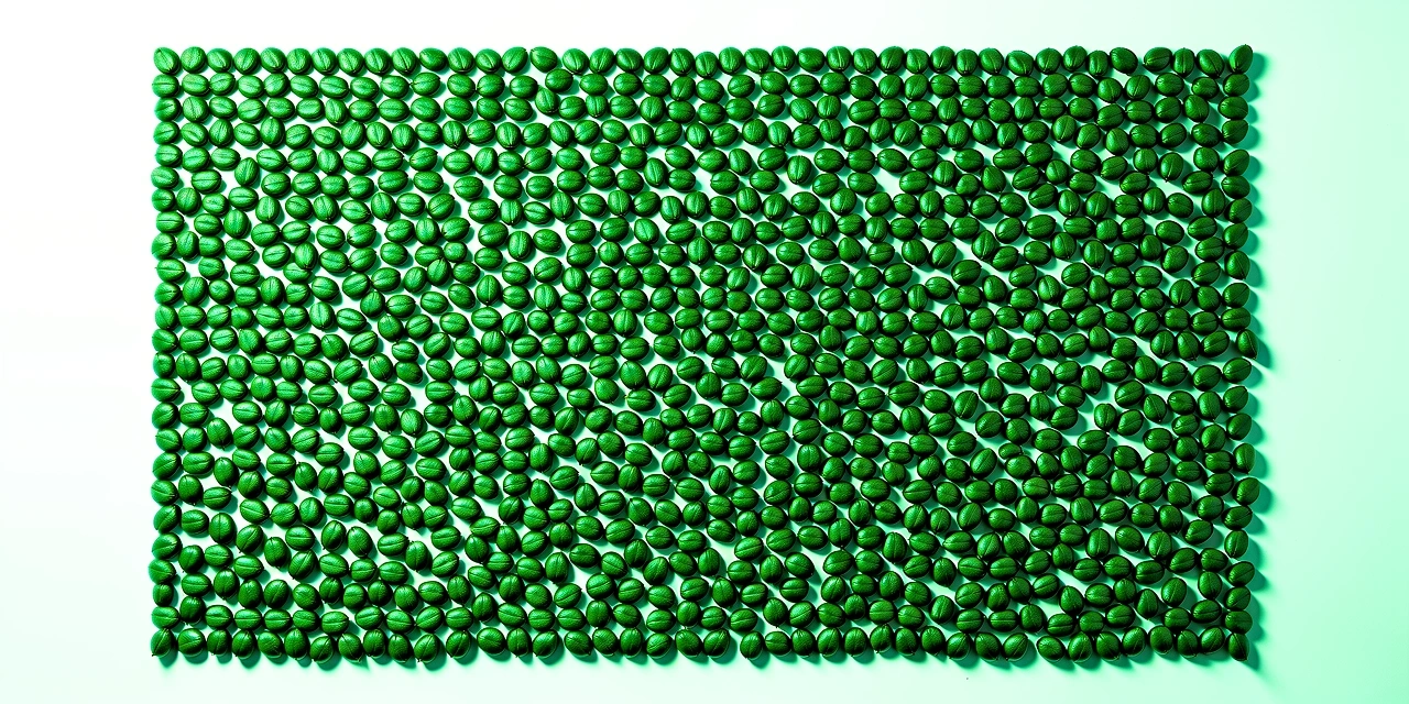Geometric Seeds